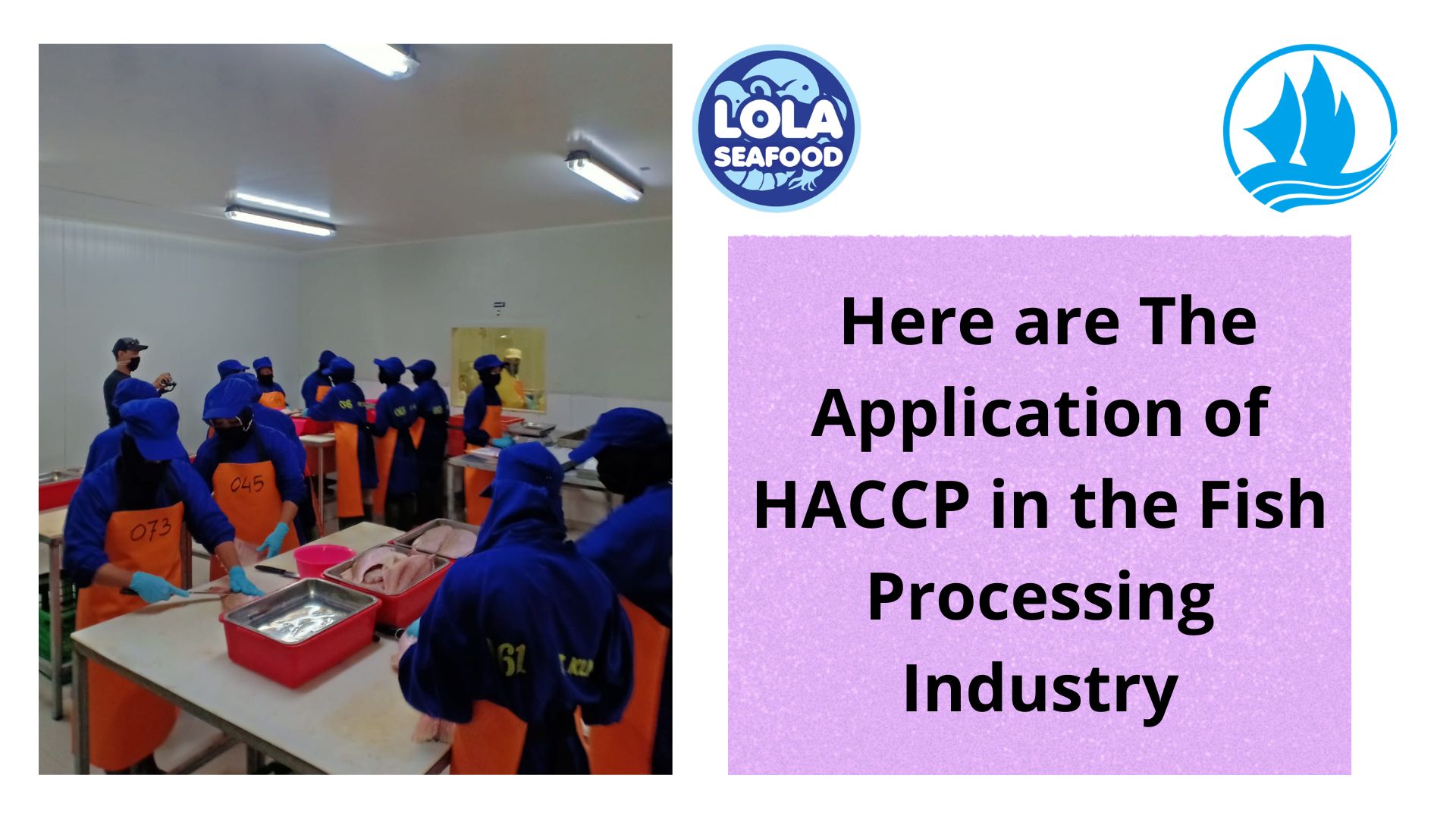 Here are The Application of HACCP in the Fish Processing Industry